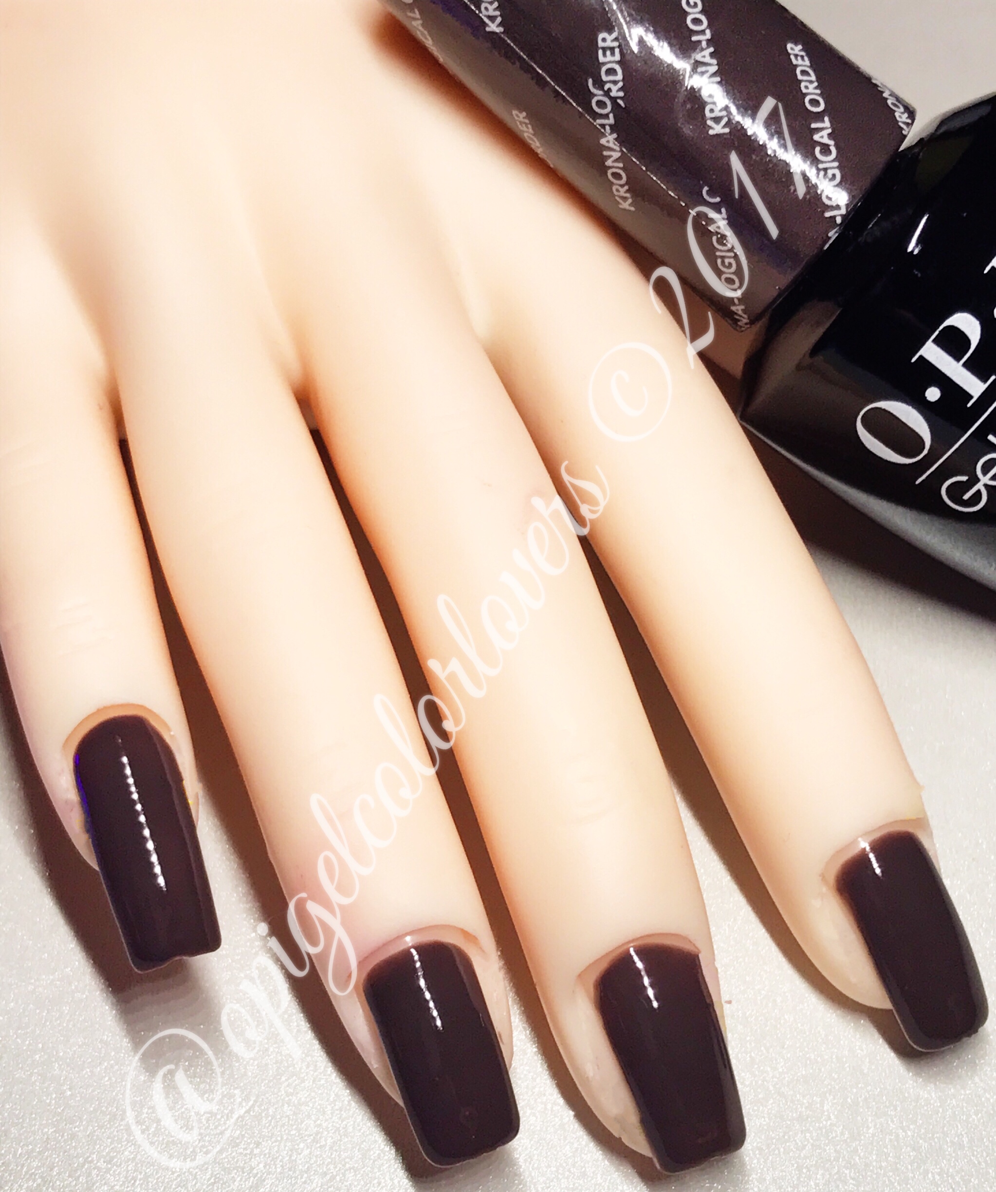 Watermarked2(2017-07-03-2248)