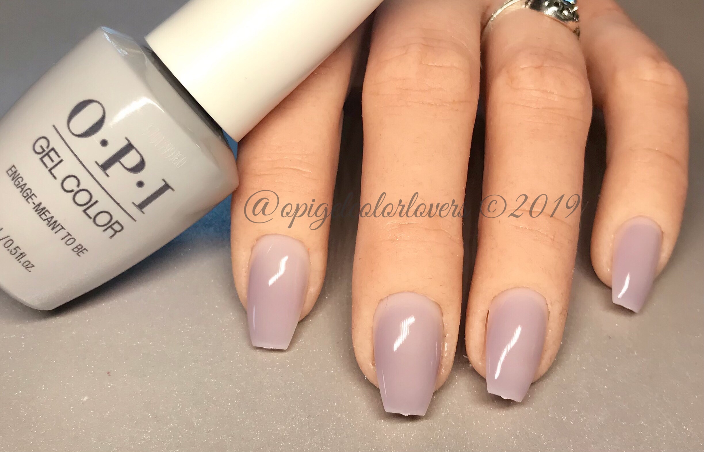 watermarked9(2019-03-23-1917)